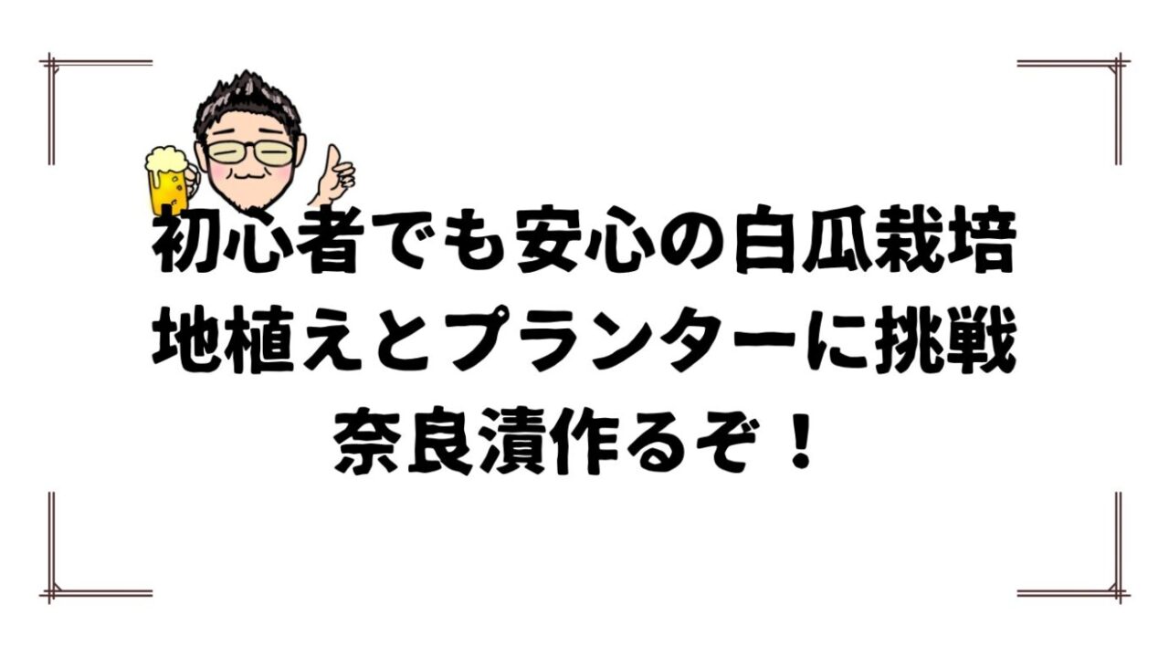 白瓜タイトル