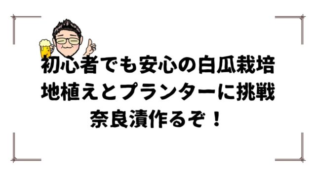 白瓜タイトル